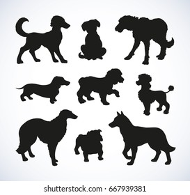 Different kinds of standing dogs set isolated on white background. Black ink hand drawn picture sketch in art retro doodle style pen on paper. Closeup side view with space for text