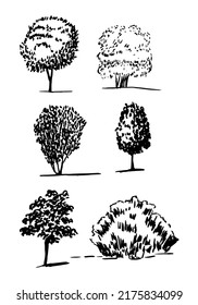 Different kinds of tree vector sketch set. Hand drawn trees: oak, aspen; birch; beech; ash tree; walnut tree; firtree and pine