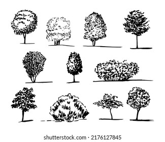 Different Kinds Tree Vector Sketch Set Stock Vector (Royalty Free ...