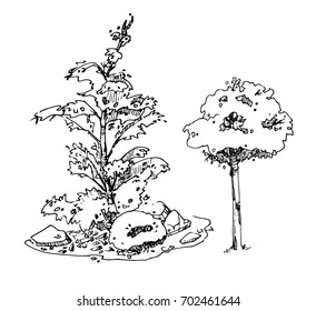 Different kinds of trees. Sketch 