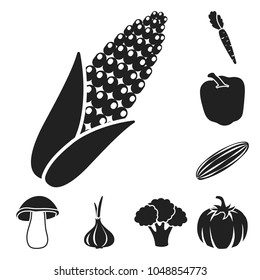 Different kinds of vegetables black icons in set collection for design. Vegetables and vitamins vector symbol stock web illustration.
