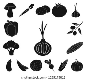 Different kinds of vegetables black icons in set collection for design. Vegetables and vitamins vector symbol stock web illustration.