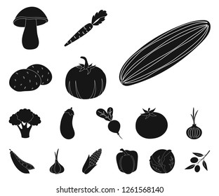 Different kinds of vegetables black icons in set collection for design. Vegetables and vitamins vector symbol stock web illustration.