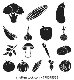 Different kinds of vegetables black icons in set collection for design. Vegetables and vitamins vector symbol stock  illustration.