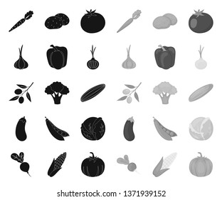 Different kinds of vegetables black.mono icons in set collection for design. Vegetables and vitamins vector symbol stock web illustration.