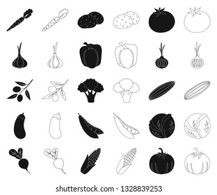 Different kinds of vegetables black,outline icons in set collection for design. Vegetables and vitamins vector symbol stock web illustration.