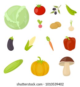 Different kinds of vegetables cartoon icons in set collection for design. Vegetables and vitamins vector symbol stock web illustration.