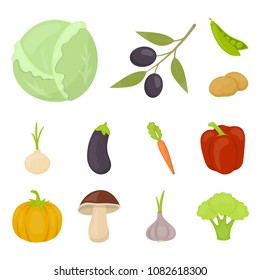 Different kinds of vegetables cartoon icons in set collection for design. Vegetables and vitamins vector symbol stock web illustration.