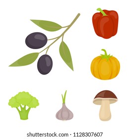Different kinds of vegetables cartoon icons in set collection for design. Vegetables and vitamins vector symbol stock web illustration.