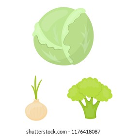 Different kinds of vegetables cartoon icons in set collection for design. Vegetables and vitamins vector symbol stock web illustration.