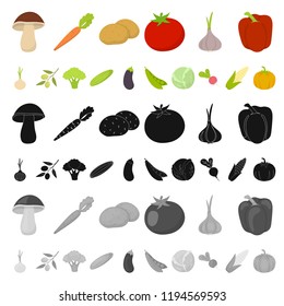 Different kinds of vegetables cartoon icons in set collection for design. Vegetables and vitamins vector symbol stock web illustration.