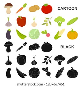Different kinds of vegetables cartoon icons in set collection for design. Vegetables and vitamins vector symbol stock web illustration.