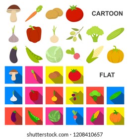 Different kinds of vegetables cartoon icons in set collection for design. Vegetables and vitamins vector symbol stock web illustration.