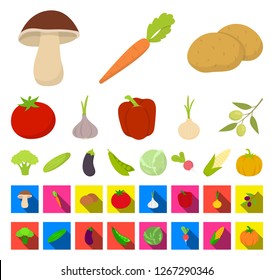 Different kinds of vegetables cartoon,flat icons in set collection for design. Vegetables and vitamins vector symbol stock web illustration.