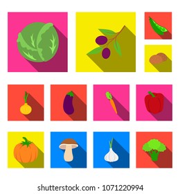 Different kinds of vegetables flat icons in set collection for design. Vegetables and vitamins vector symbol stock web illustration.