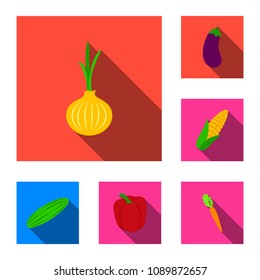 Different kinds of vegetables flat icons in set collection for design. Vegetables and vitamins vector symbol stock web illustration.