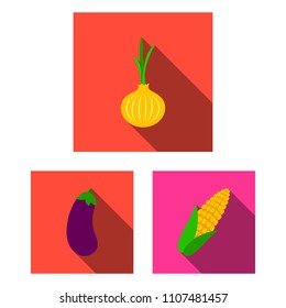 Different kinds of vegetables flat icons in set collection for design. Vegetables and vitamins vector symbol stock web illustration.