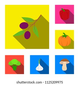 Different kinds of vegetables flat icons in set collection for design. Vegetables and vitamins vector symbol stock web illustration.
