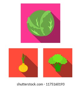 Different kinds of vegetables flat icons in set collection for design. Vegetables and vitamins vector symbol stock web illustration.