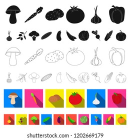 Different kinds of vegetables flat icons in set collection for design. Vegetables and vitamins vector symbol stock web illustration.