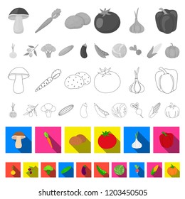 Different kinds of vegetables flat icons in set collection for design. Vegetables and vitamins vector symbol stock web illustration.