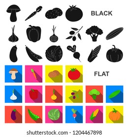 Different kinds of vegetables flat icons in set collection for design. Vegetables and vitamins vector symbol stock web illustration.