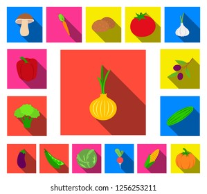 Different kinds of vegetables flat icons in set collection for design. Vegetables and vitamins vector symbol stock web illustration.