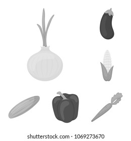 Different kinds of vegetables monochrome icons in set collection for design. Vegetables and vitamins vector symbol stock web illustration.