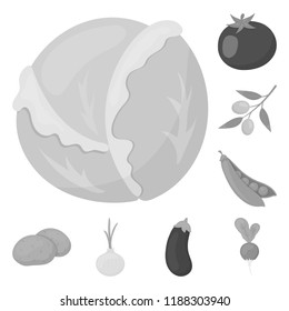 Different kinds of vegetables monochrome icons in set collection for design. Vegetables and vitamins vector symbol stock web illustration.