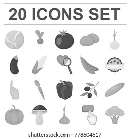 Different kinds of vegetables monochrome icons in set collection for design. Vegetables and vitamins vector symbol stock web illustration.