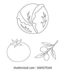 Different kinds of vegetables outline icons in set collection for design. Vegetables and vitamins vector symbol stock web illustration.