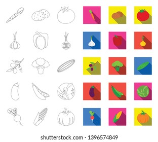 Different kinds  vegetables outline,flat icons in set collection  design. Vegetables and vitamins vector symbol stock web illustration.
