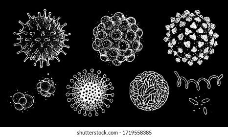 Diferentes tipos de virus, colección de esbozos. Ilustración dibujada a mano, estilo grabado vintage. Infección por virus respiratorio. Virus corona. Coronavirus 2019-nCoV y otros virus. Dibujo de macros.