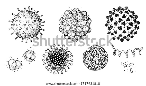 Verschiedene Arten Von Viren Skizze Sammlung Handgezeichnete Stock Vektorgrafik Lizenzfrei