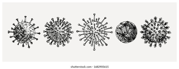 Different kinds of virus - sketches collection. Biology organisms illustration in vintage engraved style. Respiratory virus infection macro drawings. Corona Virus.  Coronavirus 2019-nCoV and other.