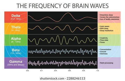 La actividad cerebral produce diferentes tipos de formas de onda. Demostración de patrones de ondas cerebrales humanas