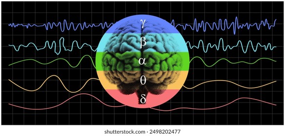 Different kinds of waveforms are produced by brain activity. A colorful brain wave patterns. A specific brainwave frequency.