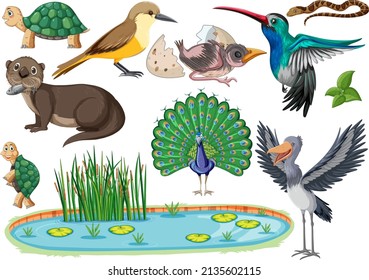 Different kinds of wild animals collection illustration
