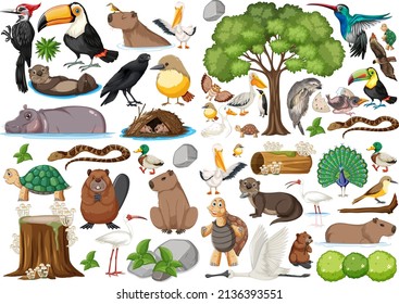 Different kinds of wild animals collection illustration