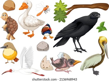 Different kinds of wild animals collection illustration