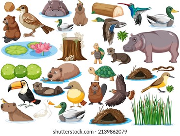 Different Kinds Wild Animals Collection Illustration Stock Vector ...