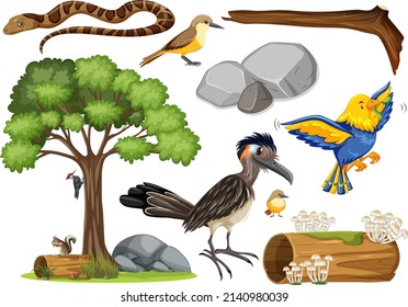 Different kinds of wild animals collection illustration