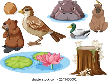 Different kinds of wild animals collection illustration