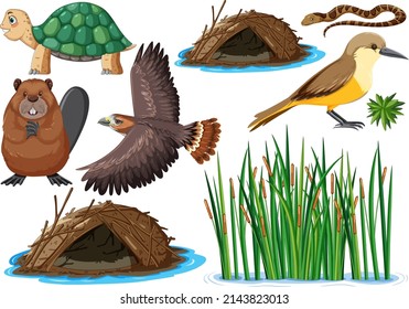 Different kinds of wild animals collection illustration