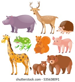 Different kinds of wild animals illustration