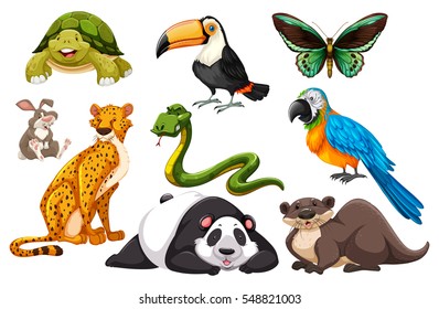 Different kinds of wild animals illustration