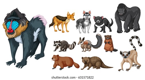 Different kinds of wild animals illustration