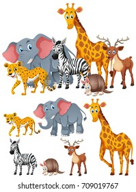 Different kinds of wild animals illustration