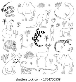 Different kinds of wild desert animals. Camel, fennec fox, lizard, snake, toad, scorpion, meerkat, kangaroo, moloch, cactus. Vector stock illustration.