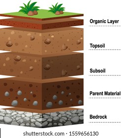 Different Layers Of Soil On Earth Illustration